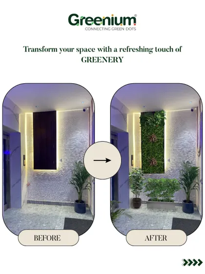Another before and after transformation. I added a vertical garden and some potted plants to this building lobby, turning a plain entrance into a welcoming green space.
