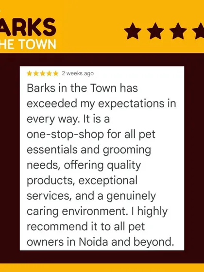 This review says we exceeded expectations in every way. We are proud to be a one-stop shop for grooming and pet essentials with a genuinely caring environment.