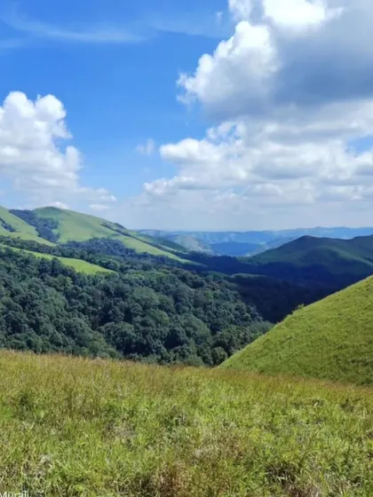 A beautiful landscape view from the Bandaje trail, showing the rolling green hills of the Western Ghats.