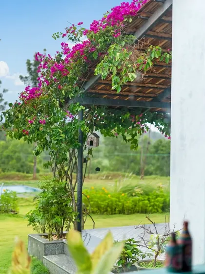 A view from the farmhouse porch, with a birdhouse hanging near a flowering vine. The shot captures the peaceful, natural beauty of the farm and its connection to wildlife.