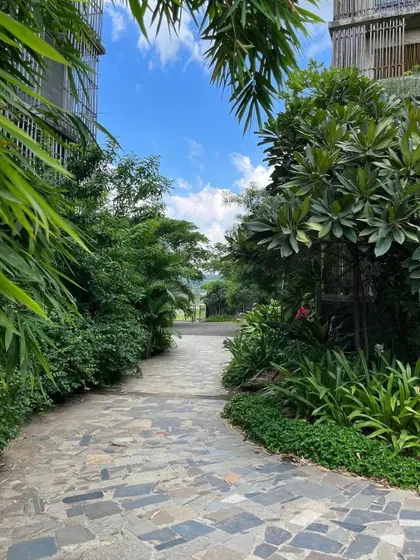 A view down one of the many shaded pathways at the academy. The dense planting of bamboo and other native trees creates a cool, green corridor that offers respite from the sun.