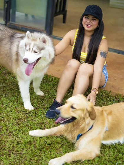 This happy husky and golden retriever are all smiles after a fun day at the camp.