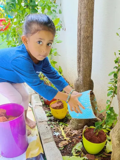 A young girl carefully planting a sapling on World Environment Day.