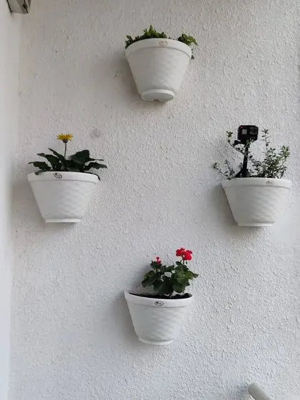 We use textured white wall planters to add greenery to bare walls, creating a vertical garden effect with assorted flowering and foliage plants.