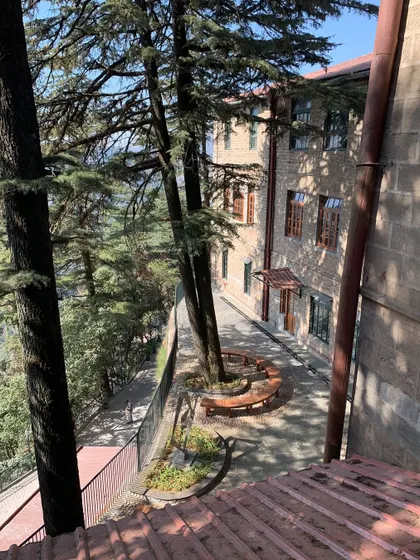 A high-angle view showing how the outdoor learning space is carved into the hillside. This project demonstrates how we can reimagine disused areas to meet new needs, like the demand for open-air classrooms during the pandemic.