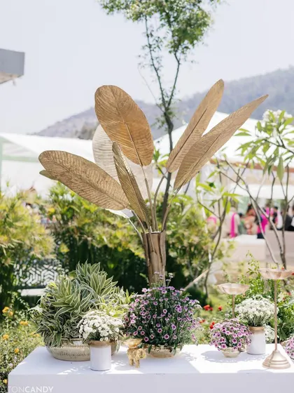 A decorative installation of gilded banana leaves adds a touch of glamour to the traditional event.