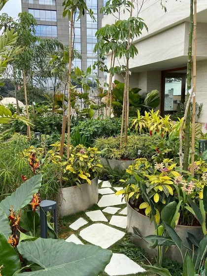 A view of the winding stone path through a dense arrangement of tropical plants on a residential terrace. Our plant selection is tailored to the specific light conditions and client preferences for a thriving, personalized garden.