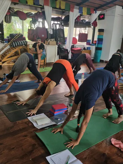 A class practices Adho Mukha Svanasana together, each student finding their own expression of this foundational pose.