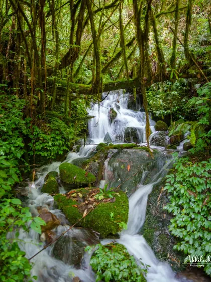 A small, serene waterfall tumbles over moss-covered rocks deep within the forests of the Annapurna region. These hidden gems are part of what makes the trek so special.