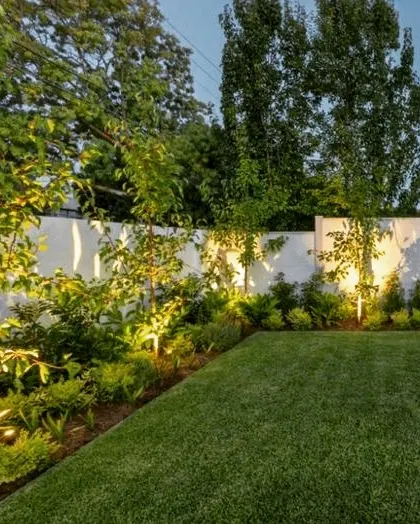 A garden at dusk, with uplighting on the trees and shrubs along the boundary wall. This lighting technique adds drama and depth to the landscape after sunset.