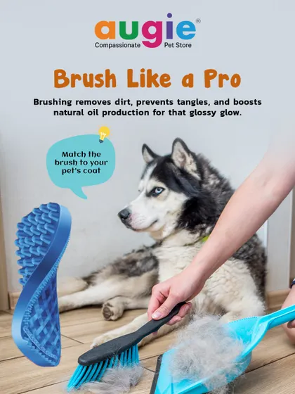 Brush like a pro! Regular brushing removes dirt, prevents tangles, and boosts natural oil production for that glossy glow. Make sure to match the brush type to your pet's specific coat.