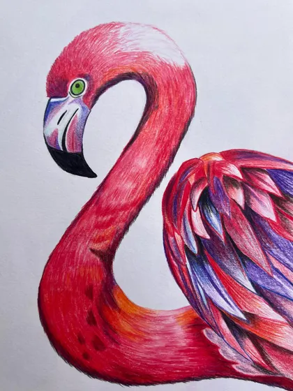 A close-up of the flamingo drawing, showing the intricate details in the feathers and the eye.