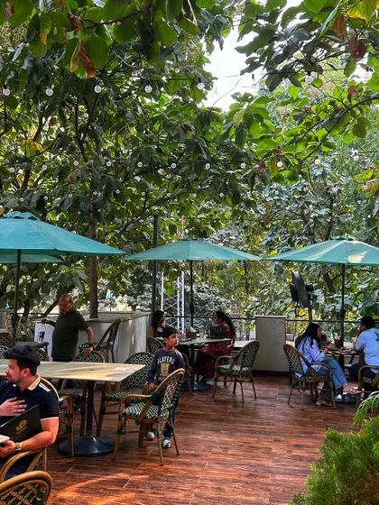 The upper deck of our cafe offers another great vantage point and seating area for groups.