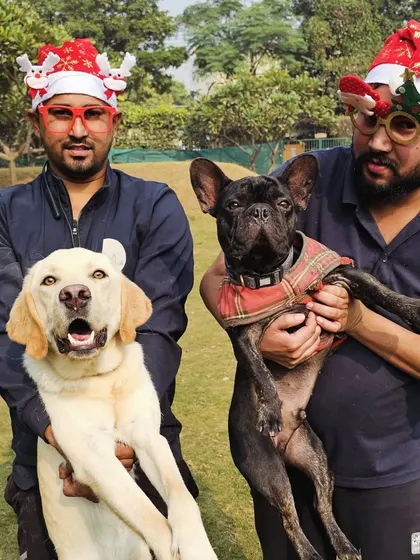 Our team members, along with a happy Labrador and French Bulldog, are all dressed up and ready for Christmas fun. We believe in sharing the joy of the season with the pets in our care.