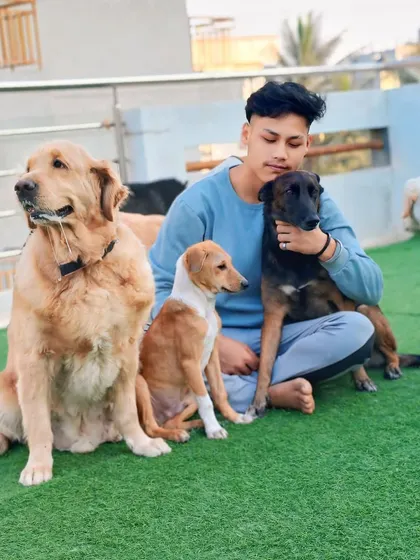 One of our dedicated team members sitting with the pack. It takes a village to care for these dogs, and our staff and volunteers are the backbone of this operation.