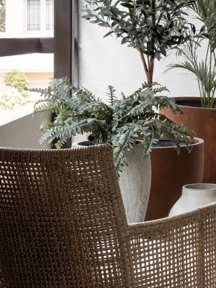 A close-up of the woven texture of a rattan chair, set against a backdrop of various potted plants. This highlights our focus on natural materials to create an organic and breathable feel.