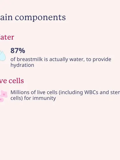 The main components of breast milk include 87% water for hydration and millions of live cells for immunity.