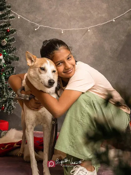 A young girl giving her Indie dog a big hug in front of the Christmas tree. This is what the holiday spirit is all about.