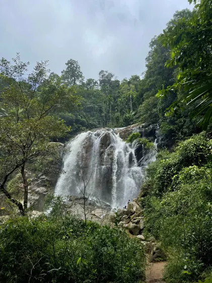 Shirley Falls in Yallapura, a serene spot surrounded by dense forest, perfect for a quiet moment with nature.