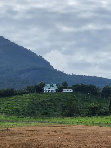 A lone house on a green hill, a classic mountain scene. We often stay in such peaceful and picturesque homestays.