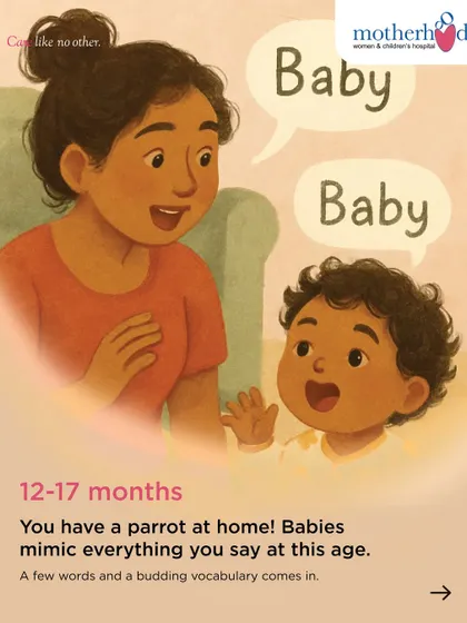 At 12-17 months, you have a little parrot at home! Babies at this age mimic everything you say, and a budding vocabulary starts to form. It's an exciting time of rapid language acquisition.