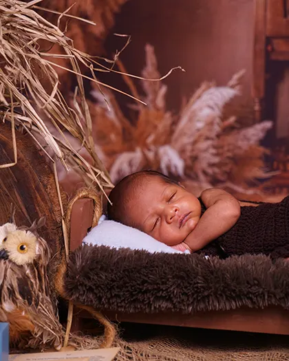 A rustic, woodland-themed shoot featuring a tiny sleeping baby with an owl friend. The natural textures and earthy tones create a cozy and warm feeling.