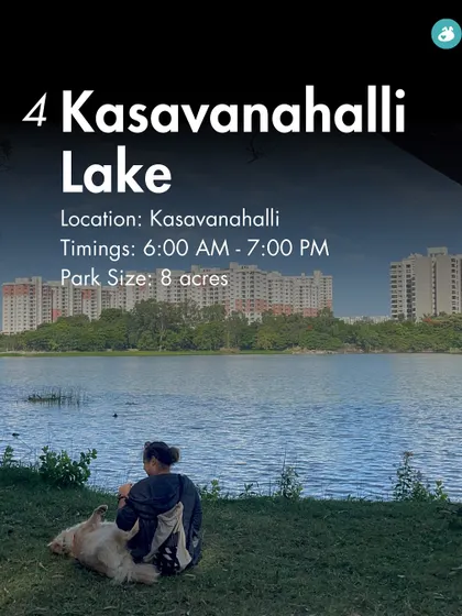The 8-acre Kasavanahalli Lake offers a beautiful lakeside environment for you and your dog to relax and enjoy nature.