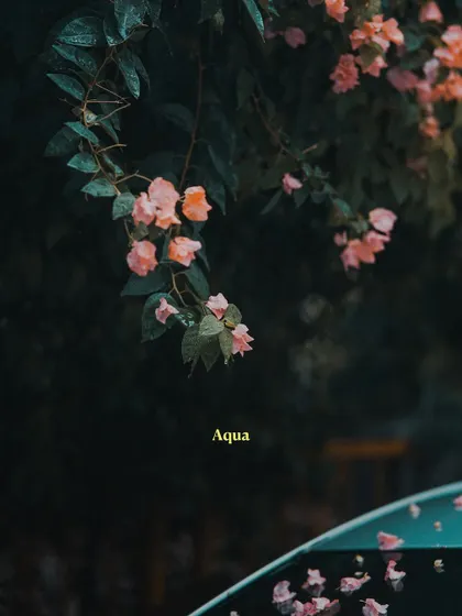 A before-and-after example showing the 'Aqua' preset, which adds a cool, teal-toned mood to the image.