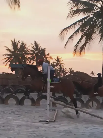 A rider and horse clear a jump against the beautiful sunset backdrop. Our arena is set up for show jumping practice for riders of various skill levels.
