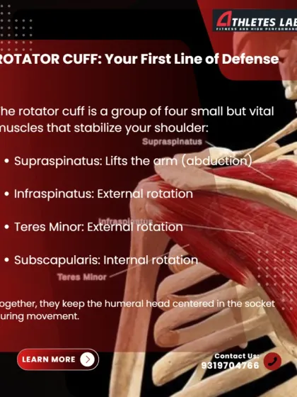 Your rotator cuff is your shoulder's first line of defense. This group of four small muscles, including the supraspinatus and infraspinatus, is vital for stabilizing the shoulder joint during movement. Understanding their function is the first step to keeping them healthy.
