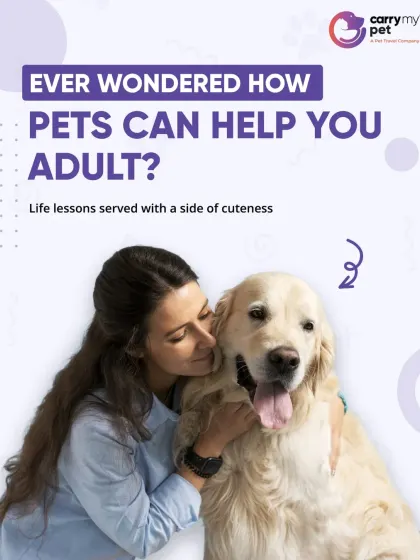 Ever wondered how pets can help you "adult"? This series explores the life lessons in responsibility and time management that come with being a pet parent.