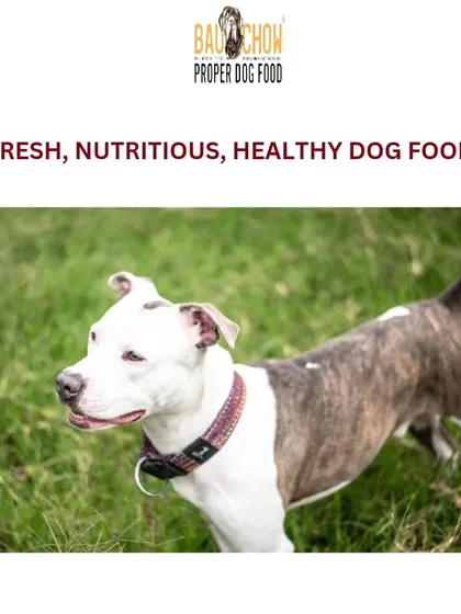 This is the picture of health. A strong posture, a shiny coat, and bright eyes. My fresh, nutritious dog food provides the building blocks for your dog to look and feel their absolute best.