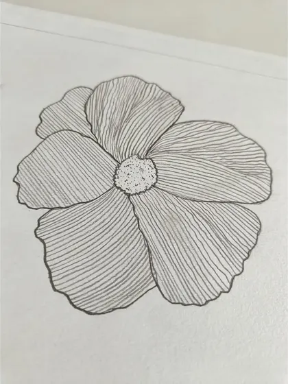 This flower illustration uses contour hatching to show the shape and curve of the petals.