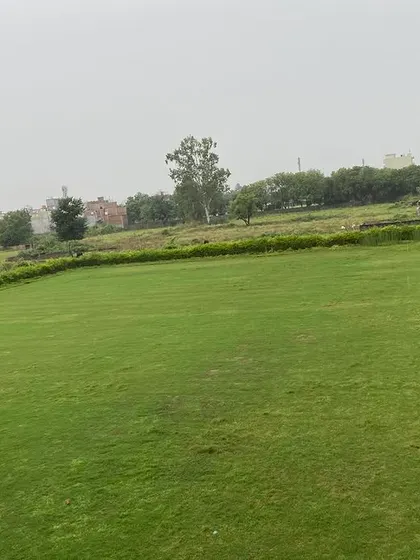 A beautiful, expansive lawn I installed. This kind of open green space is ideal for events, family gatherings, or just enjoying the outdoors.