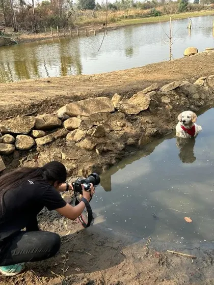 Capturing a water-loving pup in their element. This behind-the-scenes shot shows our photographer getting right by the water's edge to get a beautiful, low-angle shot of a Labrador enjoying a swim.