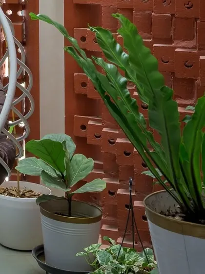 We love incorporating greenery into our spaces. Potted plants add life and freshness to the balcony, enhancing the connection to nature.