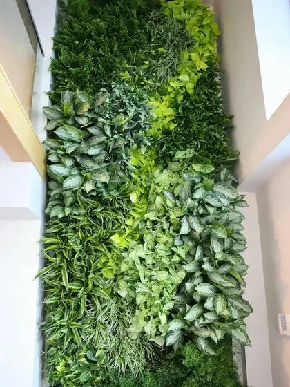 This is the power of a living wall. We designed and installed this floor-to-ceiling vertical garden in a corporate lobby, turning a plain wall into a breathtaking natural feature that improves air quality and makes a stunning first impression.