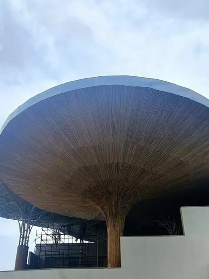 A progressive image showing the bamboo-clad parasols being installed at the TAPMI Centre. The organic form begins to emerge against the sky.