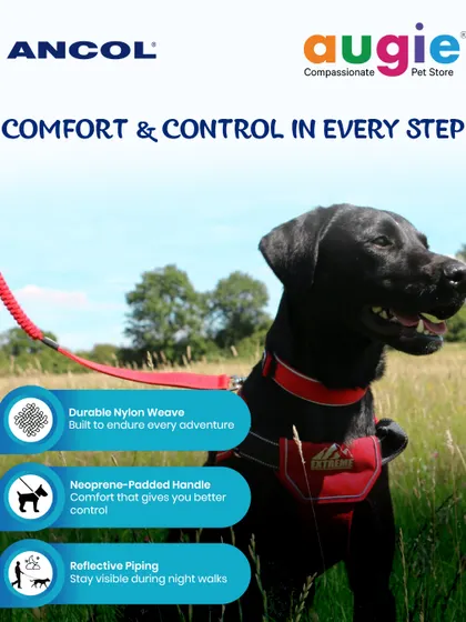 This Ancol Extreme Running Lead offers comfort and control in every step. It has a durable nylon weave, a neoprene-padded handle for better control, and reflective piping to keep you visible on night walks.