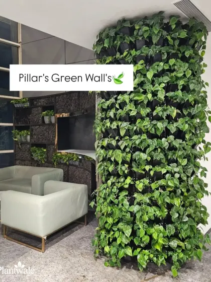 We prove that any architectural element can be greened by wrapping this structural pillar in a vertical garden. This technique transforms a functional support into a beautiful, natural focal point in an office lobby.