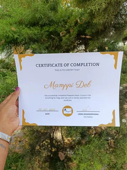 A proud moment: my graduation day as a certified pet groomer. This certificate represents my commitment to professional, knowledgeable, and safe grooming for both dogs and cats.
