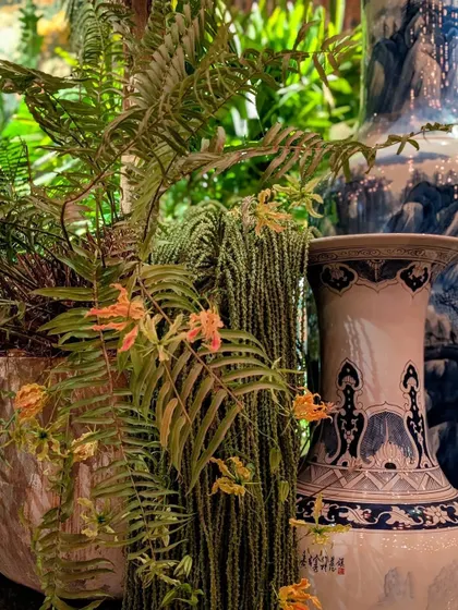 We love combining different textures and styles. For the Sabyasachi event, we paired delicate ferns and flowering Gloriosa lilies with classic blue-and-white Chinese vases, creating a beautiful contrast that added to the event's rich, eclectic aesthetic.