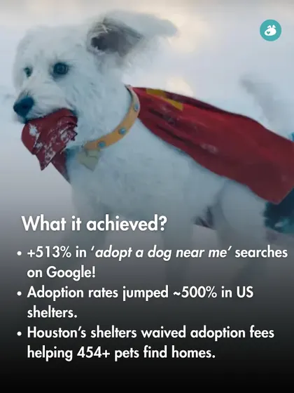 The movie "DC League of Super-Pets" led to a 513% increase in "adopt a dog near me" searches and a huge jump in shelter adoptions.