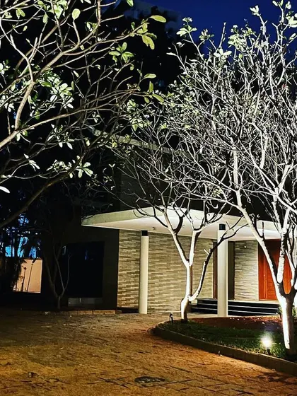 The contrast between the two lit trees, one with leaves and one without, creates a visually interesting composition.