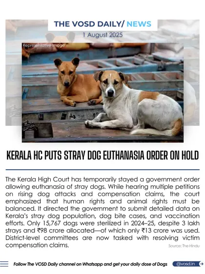 The Kerala High Court has temporarily stayed a government order that allowed for the euthanasia of stray dogs. The court is now demanding data on sterilization efforts and the use of allocated funds, balancing human and animal rights.