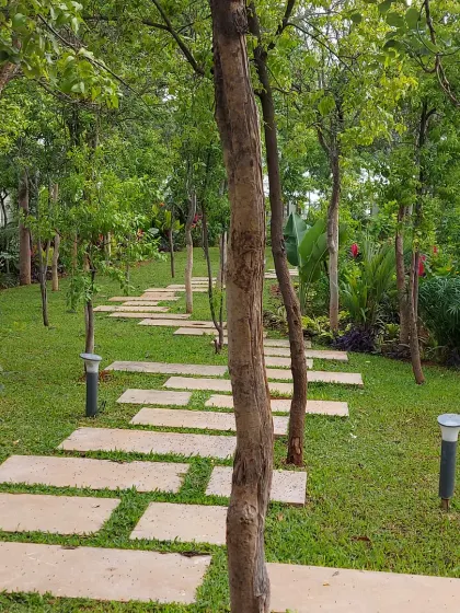 A winding stone path with integrated lighting guides you through a wooded garden area. This creates a magical, park-like feel within a private residential property.