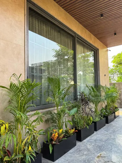 A wider shot of the planter boxes lining the walkway of this Vrindavan residence. They add a welcome touch of green against the modern exterior of the house.