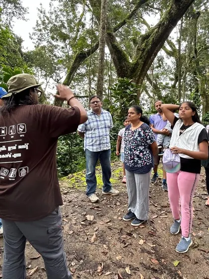 A group of participants on a coffee estate tour at Villa Urvin Khan. We take students to the source to understand coffee cultivation firsthand.