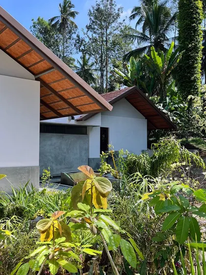 The farmhouse viewed through the lush, layered vegetation of the coffee estate. Our goal was to create a home that sits gently in its environment, complementing the natural beauty of the landscape.
