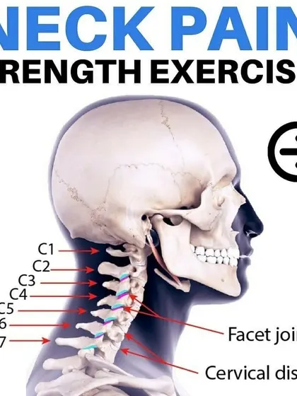 This anatomical diagram shows the cervical spine, highlighting the area we target with neck strengthening exercises to alleviate pain.